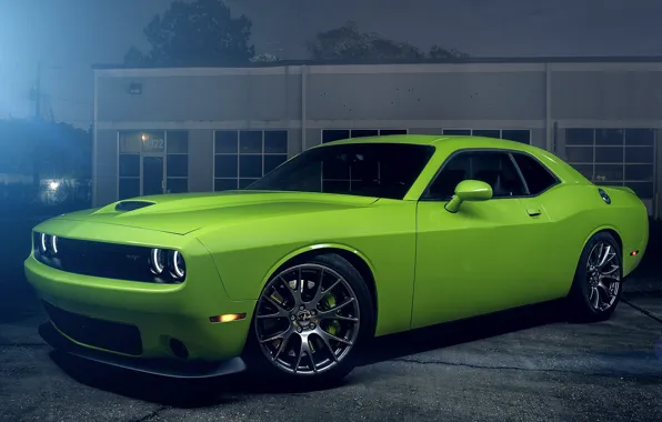 Картинка Muscle, Dodge, Challenger, Hell, Car, Green, Color, Cat