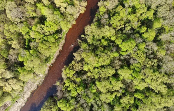 Sky, nature, drone