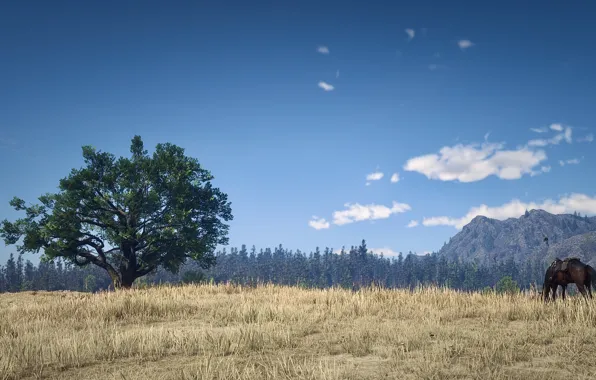 HDR, Clouds, Wood, Landscape, Tree, Mountain, Game, Field