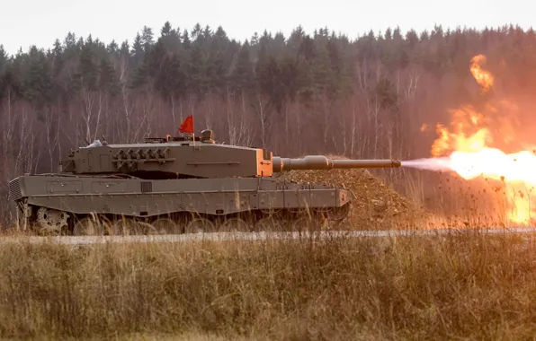 Картинка армия, Германия, танк, leopard 2a5