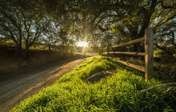 Картинка дорога, солнце, лучи, деревья, забор, Калифорния, США, Rancho Santa Rosa