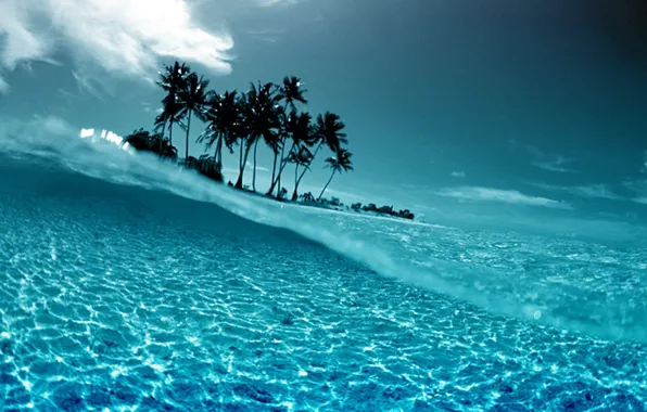 Вода, прозрачность, пальмы, океан, sunset, island, tropical