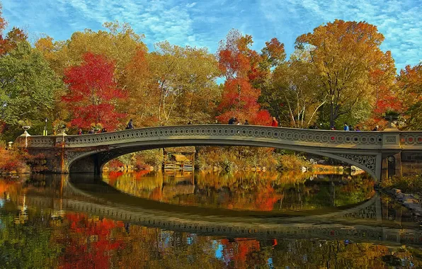 Осень, небо, деревья, пейзаж, мост, Нью-Йорк, США, Центральный парк