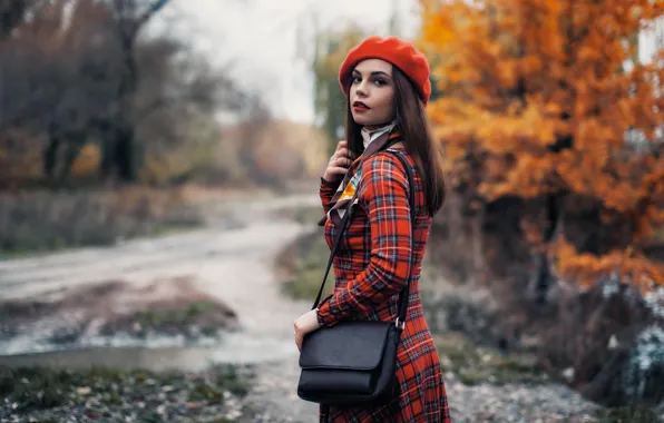 Дорога, осень, девушка, деревья, парк, шатенка, сумка, пальто