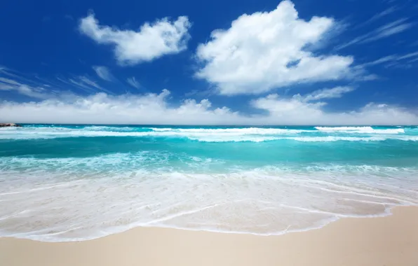 Море, волны, природа, тропики, побережье, coast, nature, wave