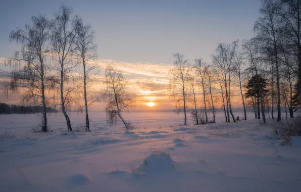 Зима, снег, деревья, закат, Россия, берёзы, Сергей Межин