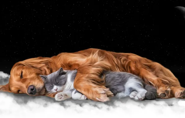 Кошка, ночь, луна, фотошоп, сон, собака, друзья, спящие
