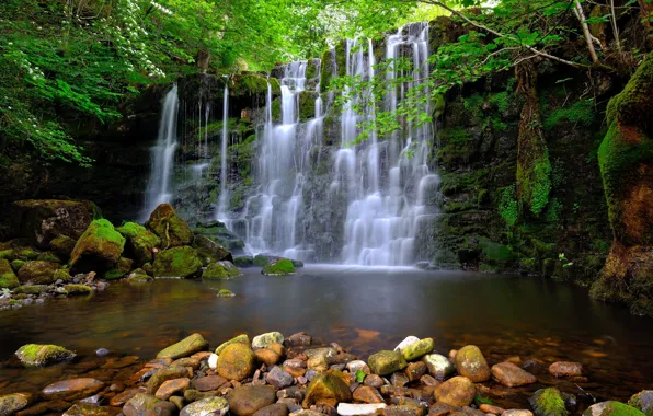 Картинка ветки, камни, скалы, водопад, весна, цветение