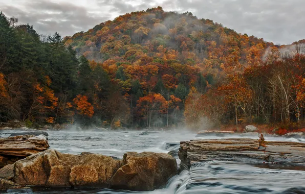 Картинка осень, лес, небо, горы, тучи, река, камни