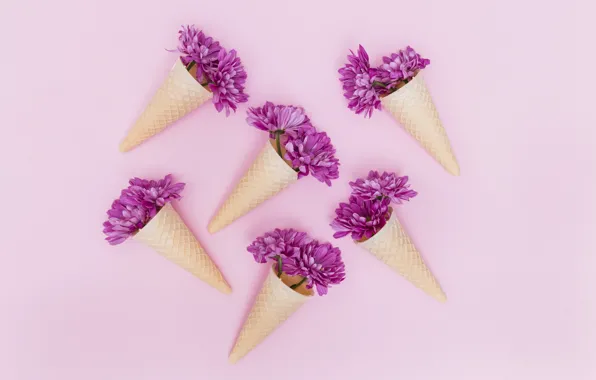 Цветы, фон, пурпурный, flowers, purple