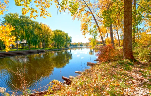 Осень, деревья, природа, река, Riverside Walk