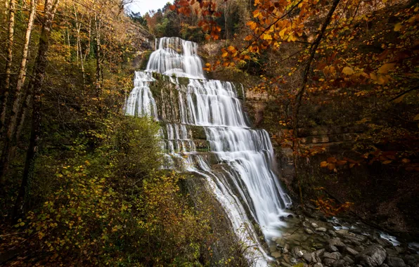Картинка осень, лес, Франция, водопад, Cascade du Herisson