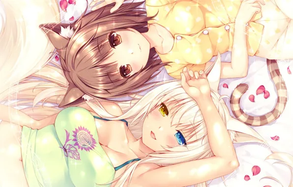 Kawaii, girl, neko, anime, cat, tail, pretty, asian