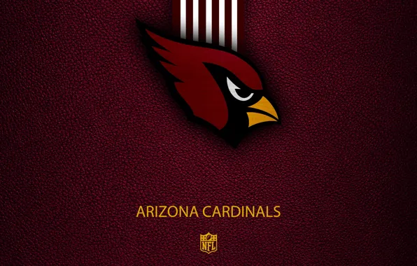 Wallpaper, sport, logo, NFL, Arizona Cardinals