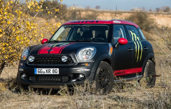Обои, Mini, Черный, Автомобили, QRS