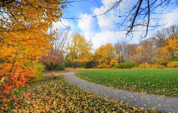 Картинка осень, небо, трава, деревья, парк, дорожка, скамья