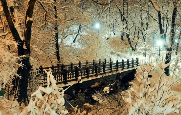 Картинка зима, снег, деревья, мост, city, парк, landscape, bridge