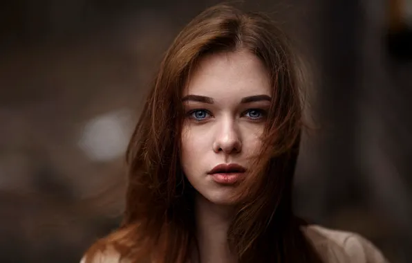 Картинка взгляд, фон, модель, портрет, макияж, прическа, шатенка, Anastasia