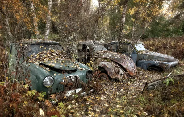 Листья, машины, лом