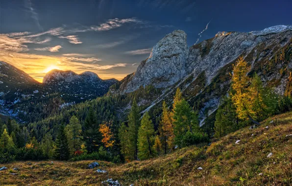 Картинка осень, деревья, горы, восход, рассвет, Австрия, Альпы, Hochkogel Mountain
