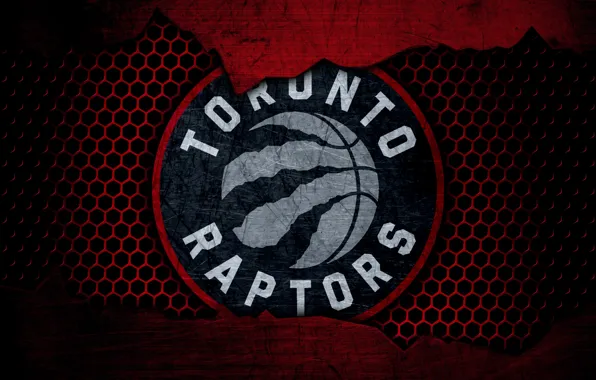 Wallpaper, sport, logo, basketball, NBA, Toronto Raptors