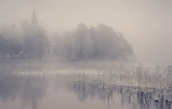 Картинка туман, озеро, утро