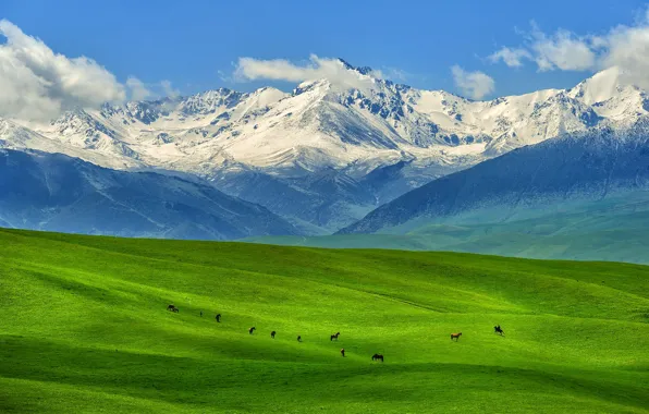 Nature, mountains, Kazakhstan, steppe