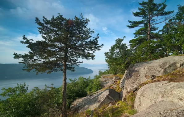 Деревья, озеро, камни, панорама, New York, штат Нью-Йорк, озеро Лейк-Джордж, Adirondack Mountains