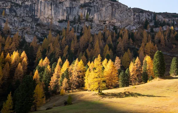 Осень, лес, свет, горы, скалы, лиственницы