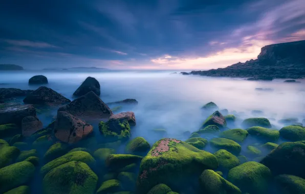 Море, камни, берег
