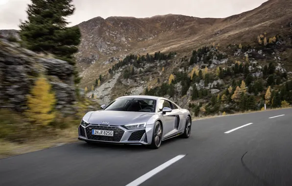 Дорога, Audi, скорость, суперкар, Audi R8, Coupe, V10, 2020