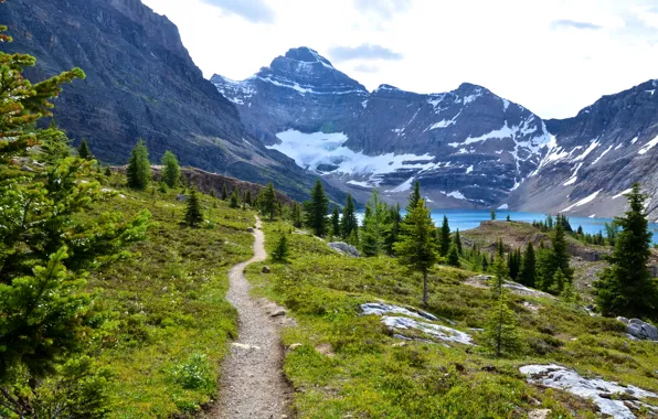 Горы, озеро, Канада, тропинка, Mount Revelstoke National Park