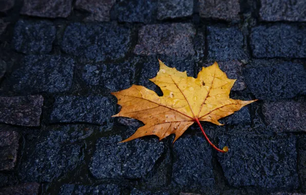 Картинка желтый, лист, Осень, брусчатка, лежит, капли дождя