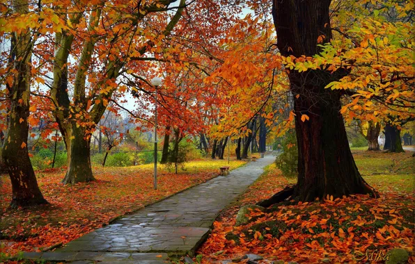 Осень, Парк, Fall, Листва, Park, Autumn