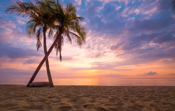 Картинка песок, море, волны, пляж, лето, закат, пальмы, берег
