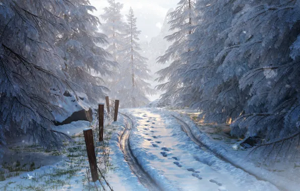 Картинка зима, лес, снег, деревья, природа, арт, дорога. следы