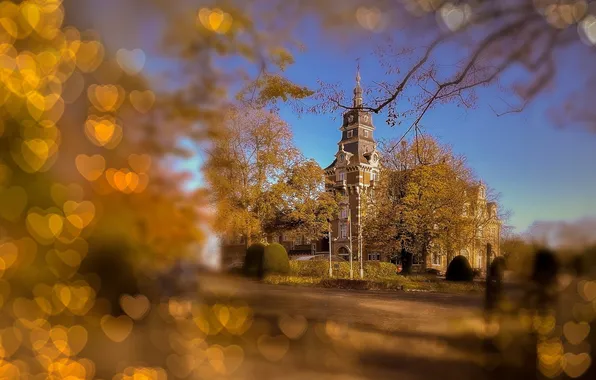 Осень, деревья, ветки, город, синева, размытие, сердечки, Бельгия