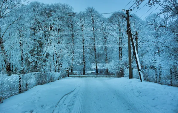 Зима, дорога, снег, деревья, пейзаж, провода