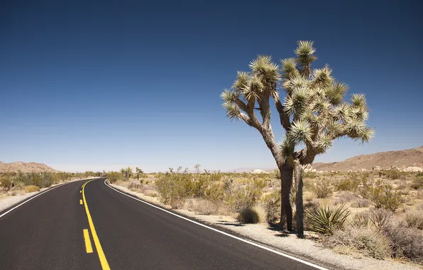Картинка дорога, пустыня, дикая Америка
