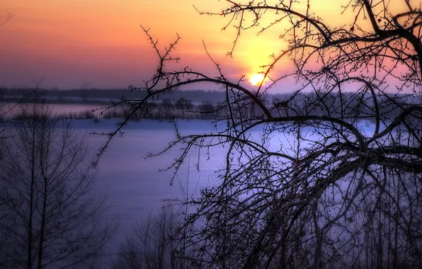 Картинка зима, пейзаж, закат, дерево