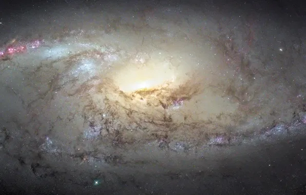 Картинка галактика, созвездие, Большая Медведица, M106, Гончие Псы, NGC 4258