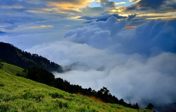 Картинка зелень, трава, облака, природа, туман, холмы