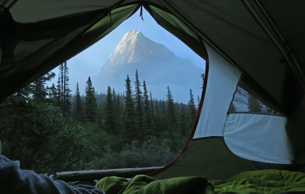 Картинка nature, view, morning, mist, Tent, Mt. Robson