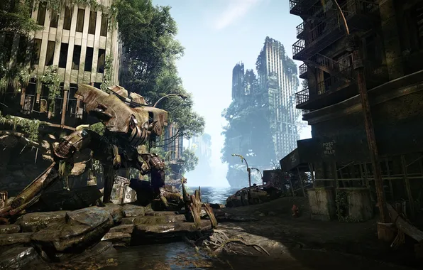Город, Робот, джунгли, разрушение, руины, Crysis 3