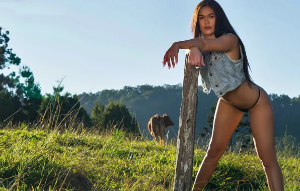 Panties, model, jeans, brunette, look, cow, pasture, Dana Healy