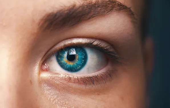 Girl, eye, female