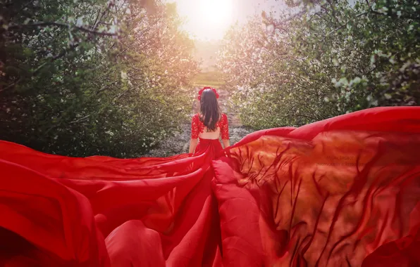 Картинка девушка, красное, спина, сад, платье, фотограф Malika Drobot
