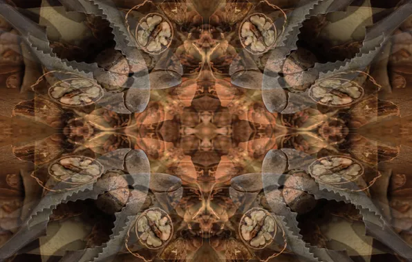 Design, art, nuts, fractal, tools