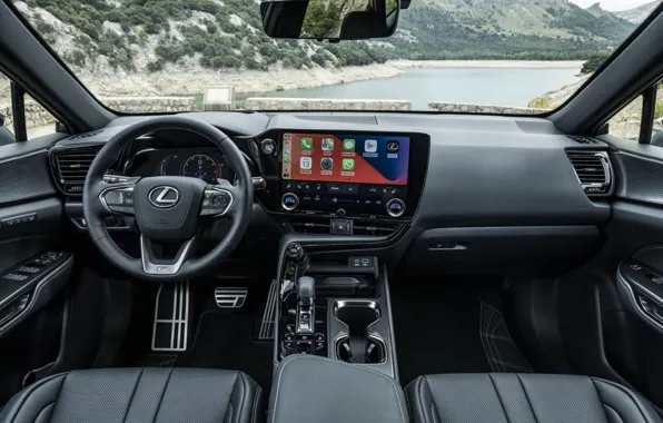 Интерьер, дисплей, панель приборов, салон автомобиля, 2021, Lexus NX 350 F Sport