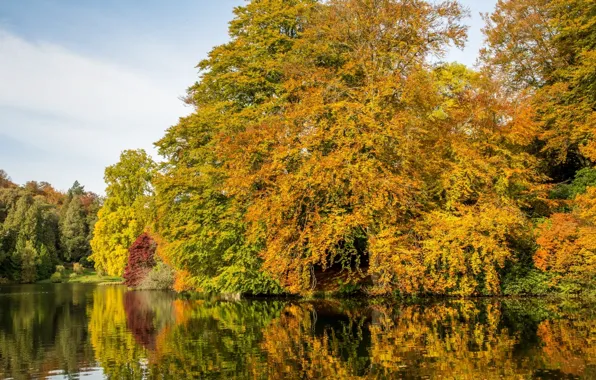 Картинка осень, деревья, озеро, отражение, Англия, Стурхед, England, Wiltshire